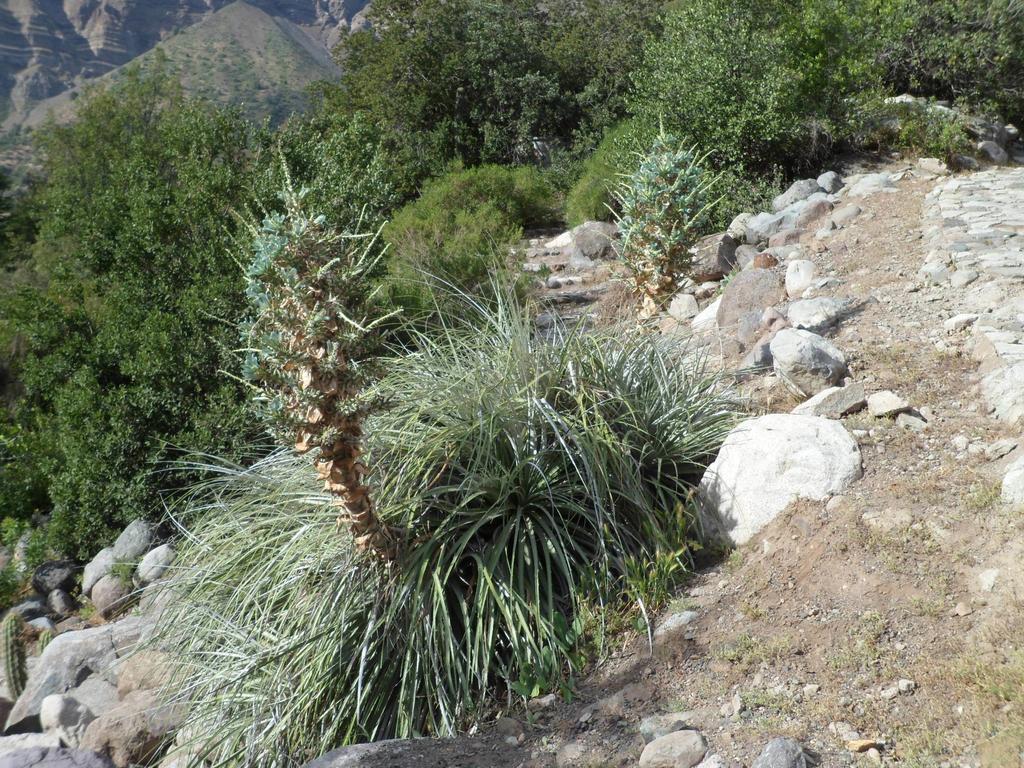 Cabanas El Cielo San José de Maipo Δωμάτιο φωτογραφία