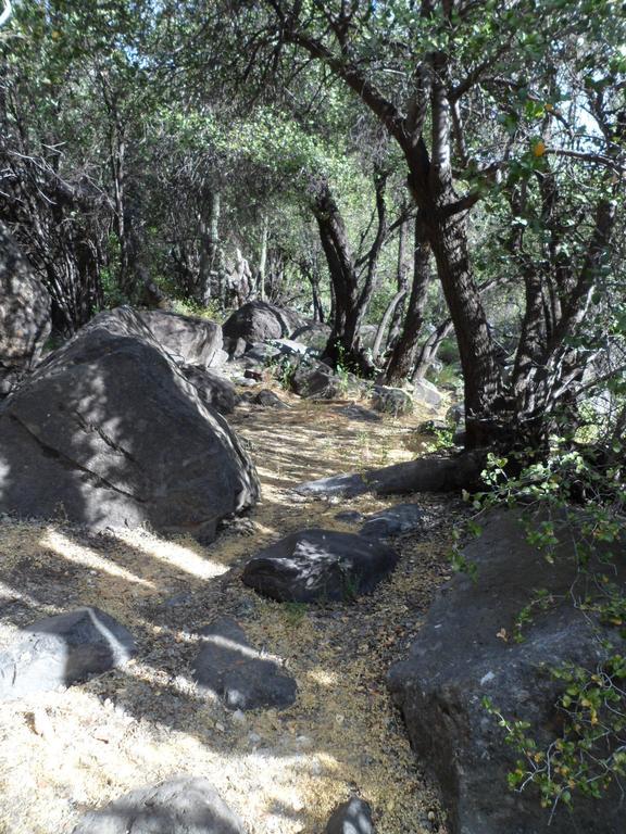 Cabanas El Cielo San José de Maipo Δωμάτιο φωτογραφία